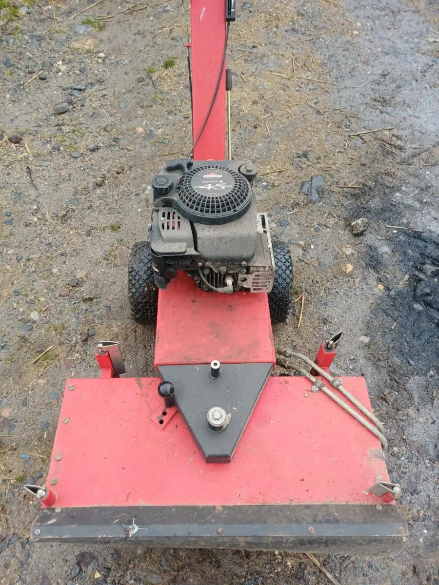 Petrol power sweeper - Image 1