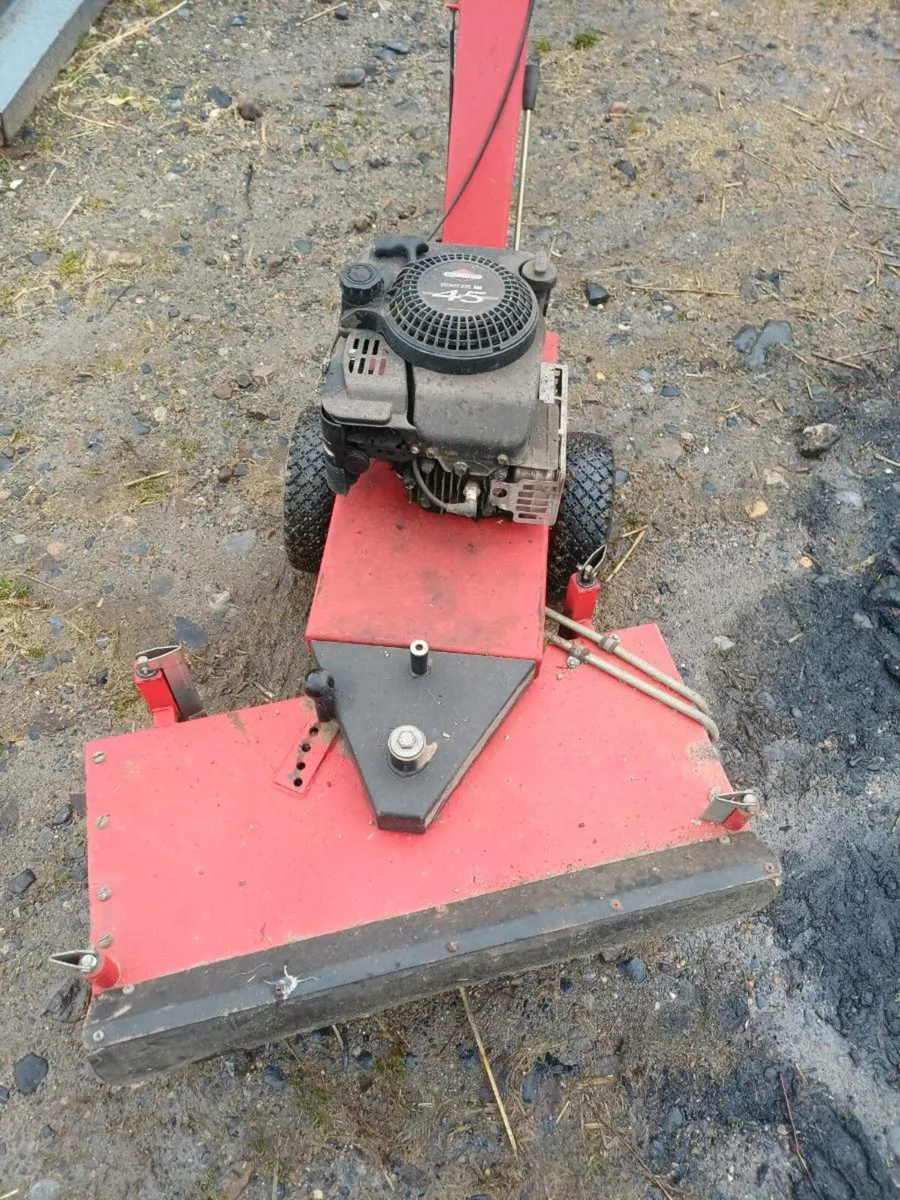 Petrol power sweeper - Image 2