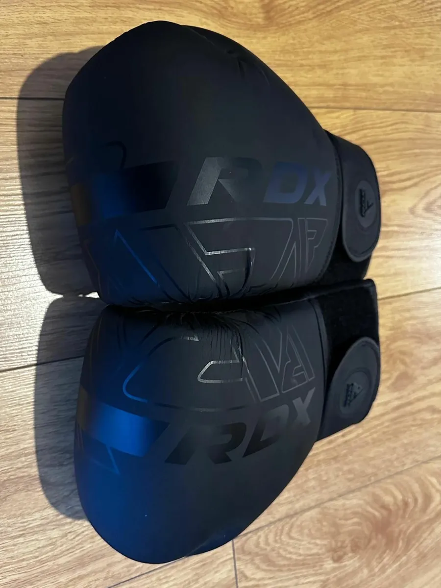 Boxing Gloves - Image 2