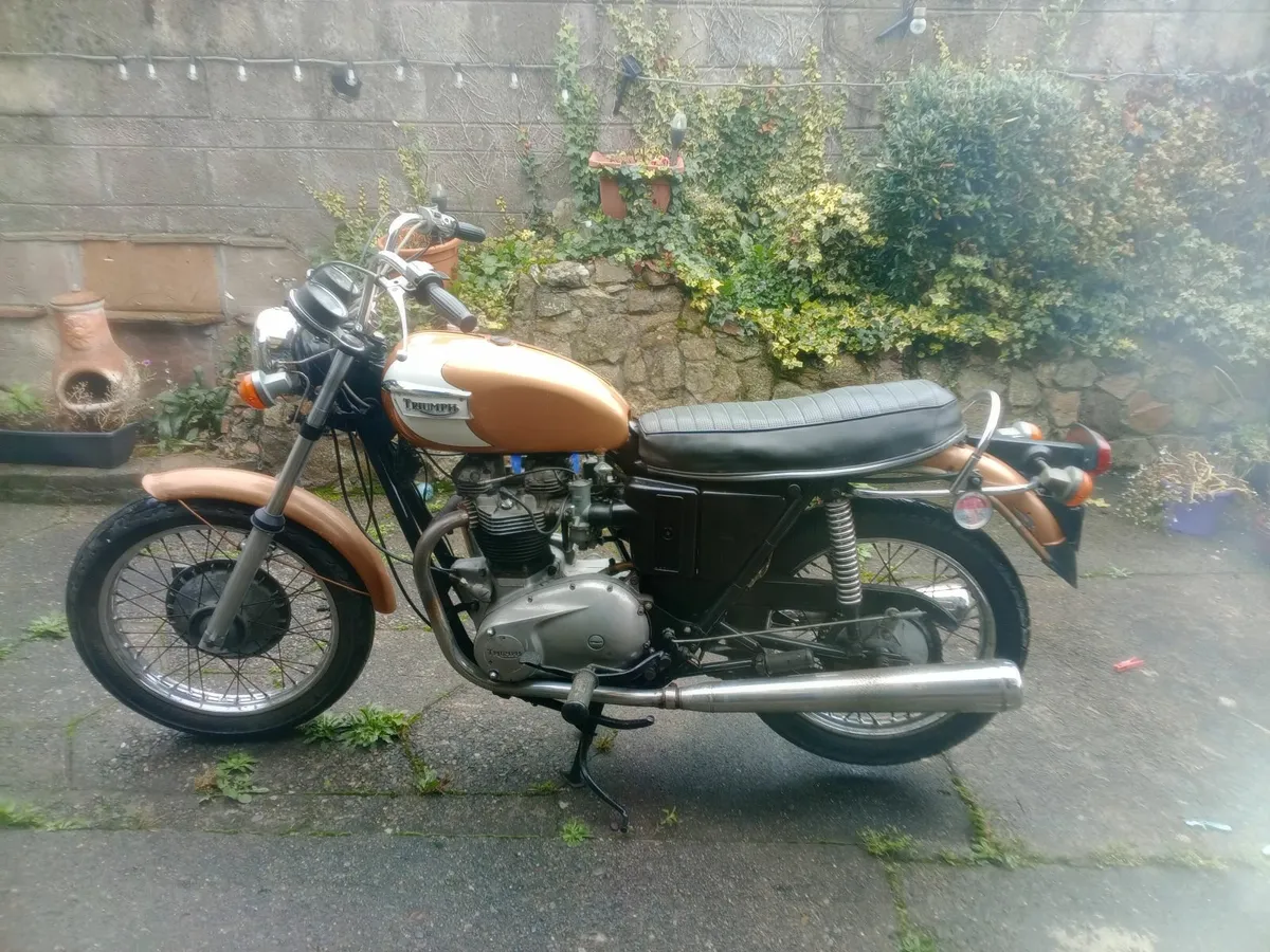Triumph Bonnievelle 1971 - Image 2