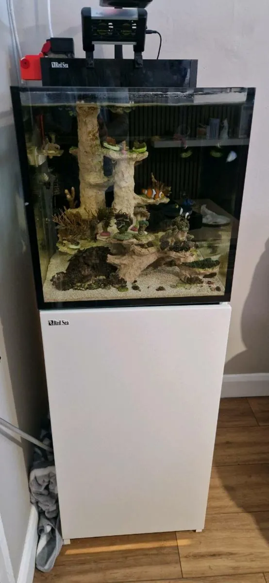 Redsea nano penisula 100l - Image 1