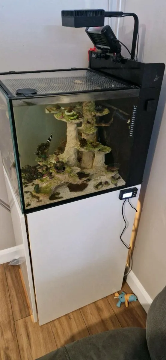 Redsea nano penisula 100l - Image 2