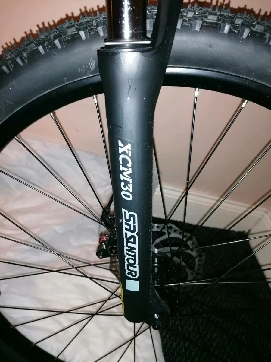 Carrera mountain bike - Image 2