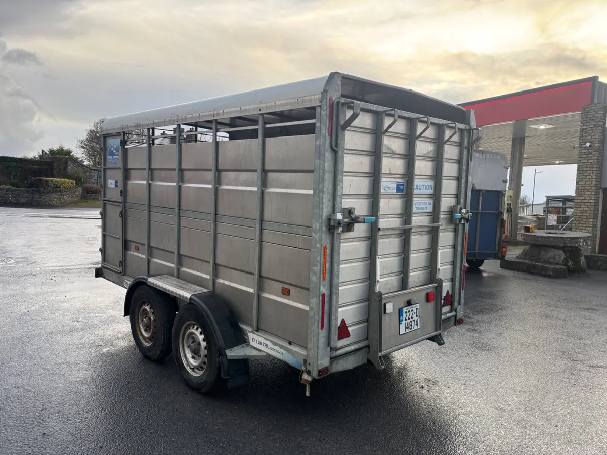 falcon 12x6 livestock trailer - Image 3