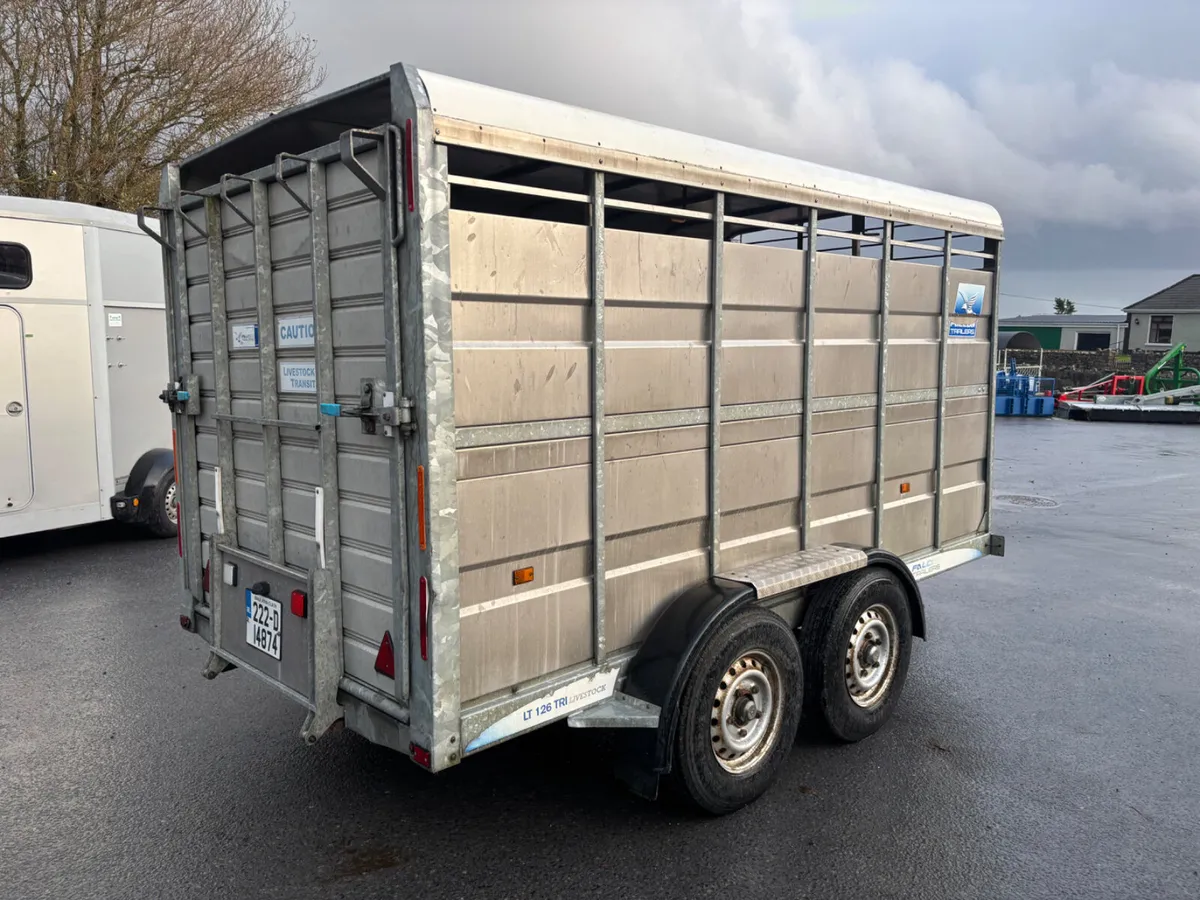 falcon 12x6 livestock trailer - Image 2