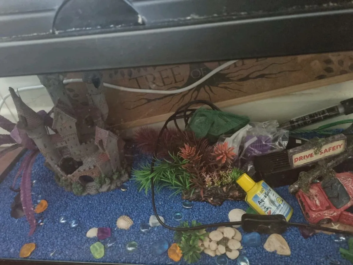Fish tank + accessories - Image 1