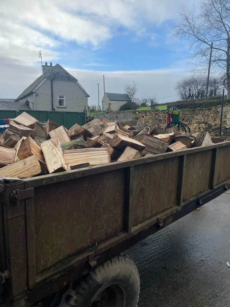 Firewood - Image 2