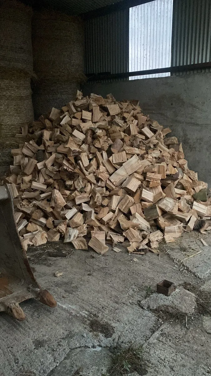 Firewood - Image 4