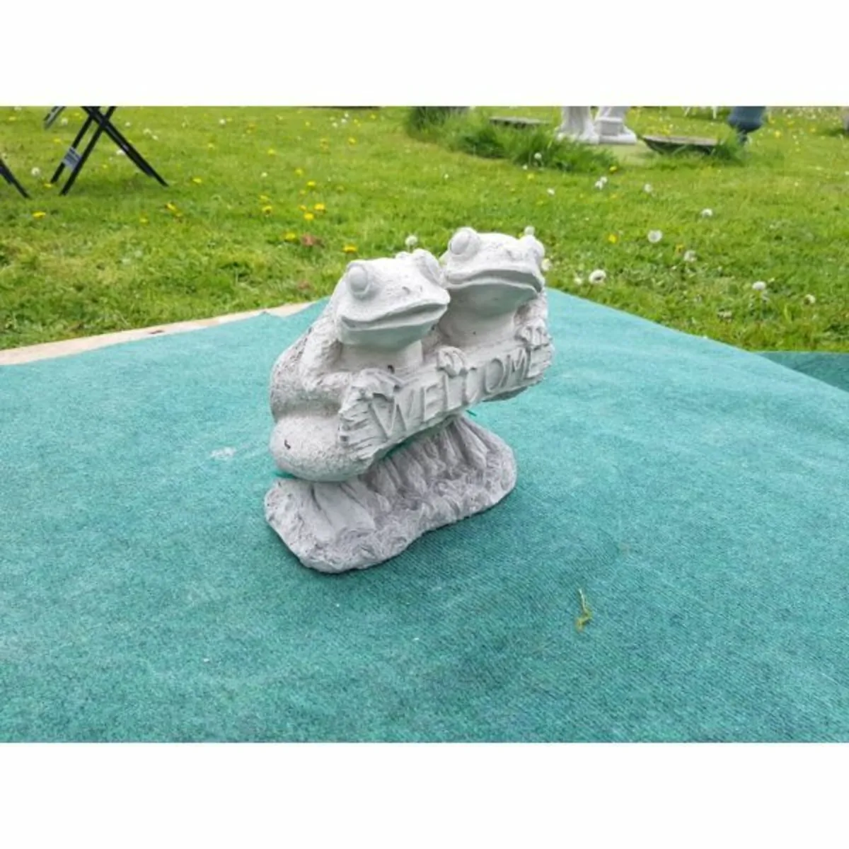 Welcome Frogs-GL-SA059