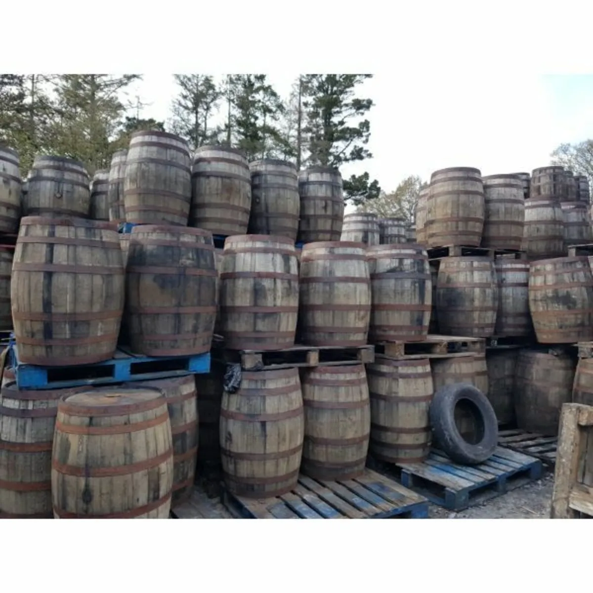 Whiskey Barrels - Image 1