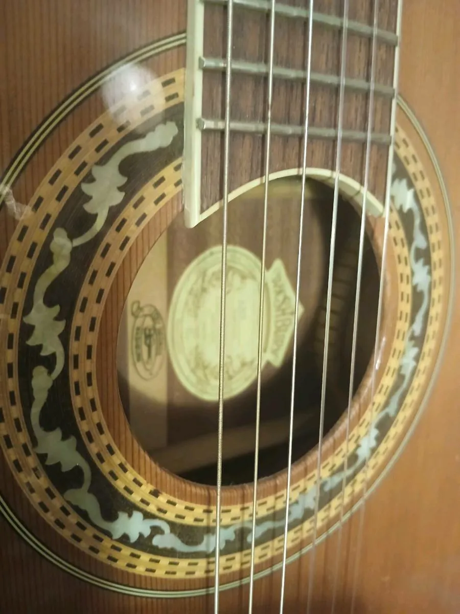 Washburn acoustic guitar - Image 1