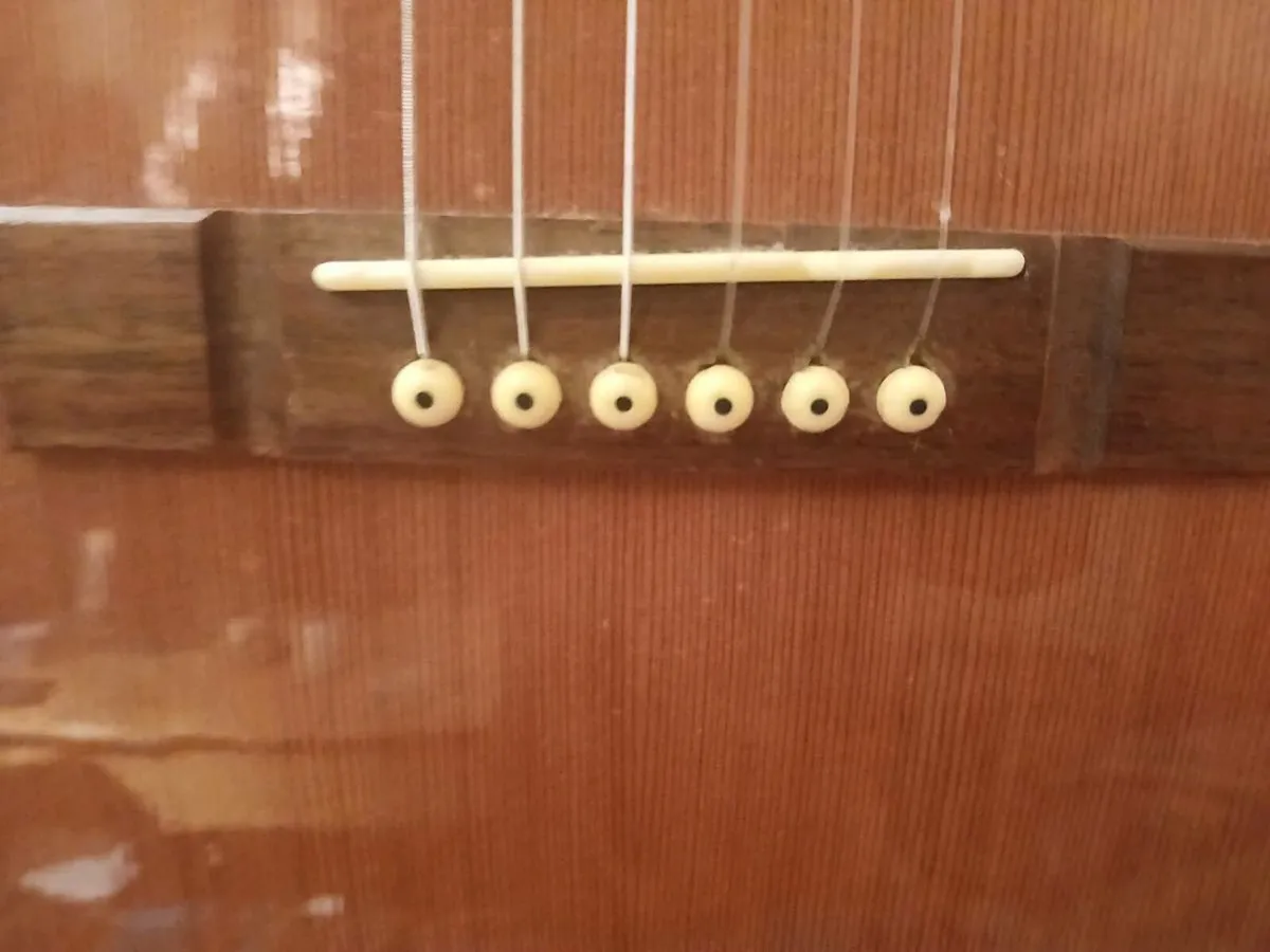 Washburn acoustic guitar - Image 4