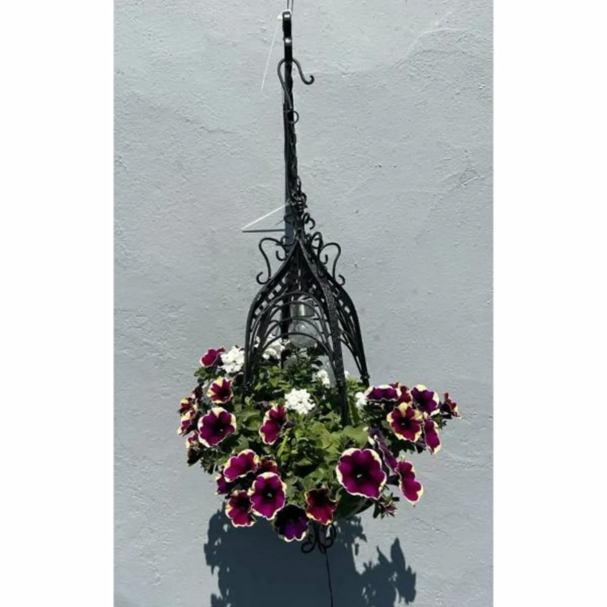 Ornate Hanging Basket - Image 4