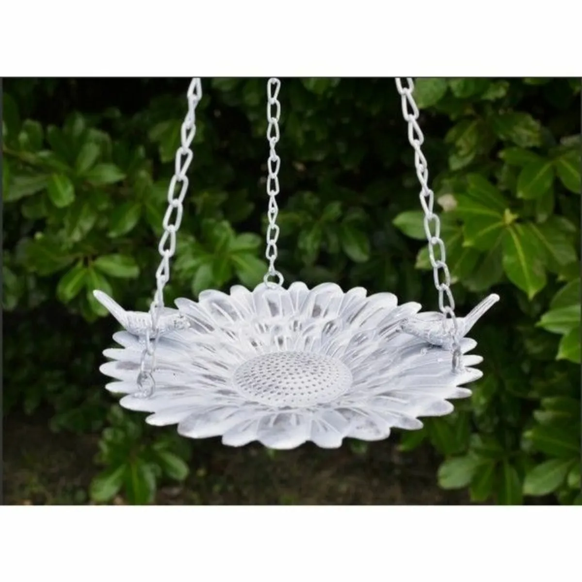 Bird Feeder – D5170