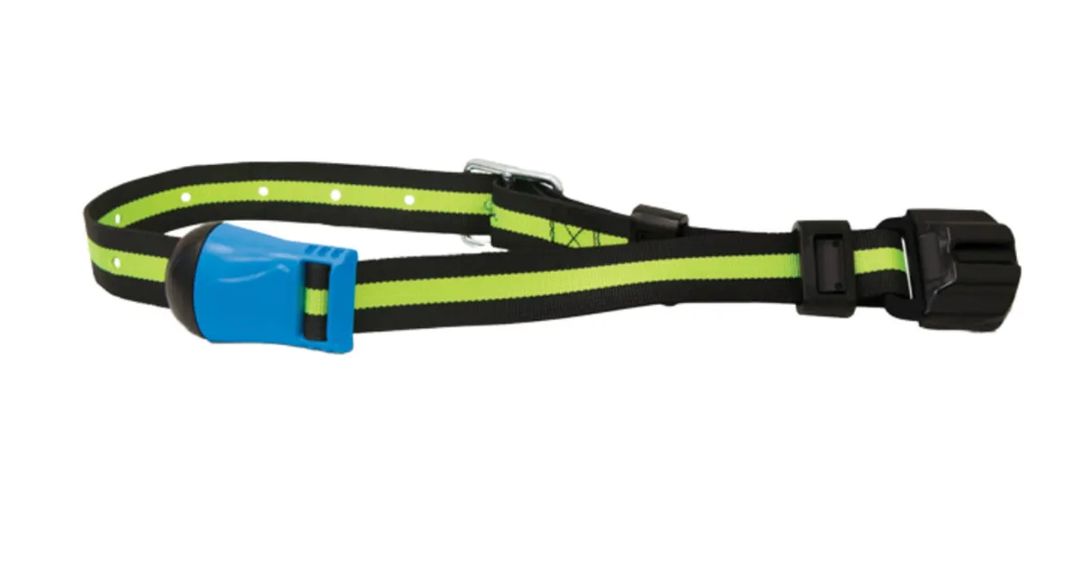 SenseHub (MSD) Collars Wanted - Image 1