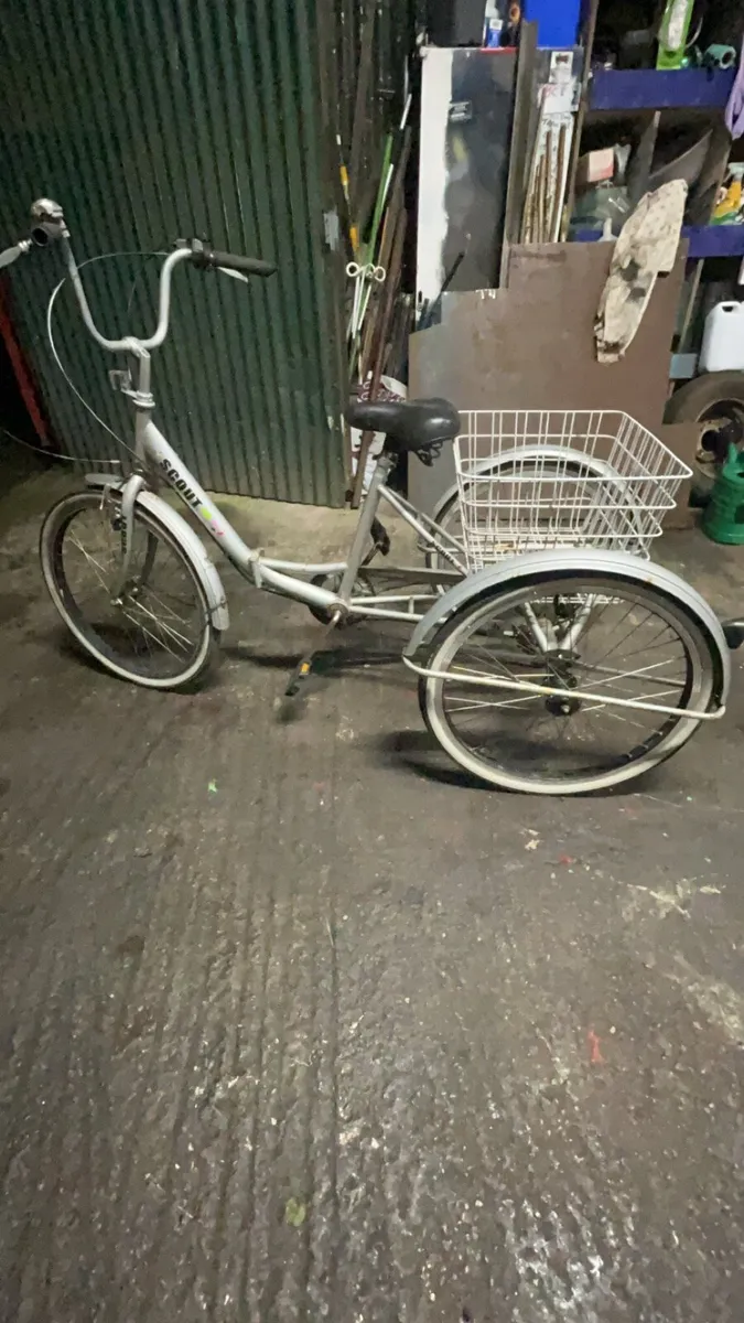 Child’s bike with basket - Image 1