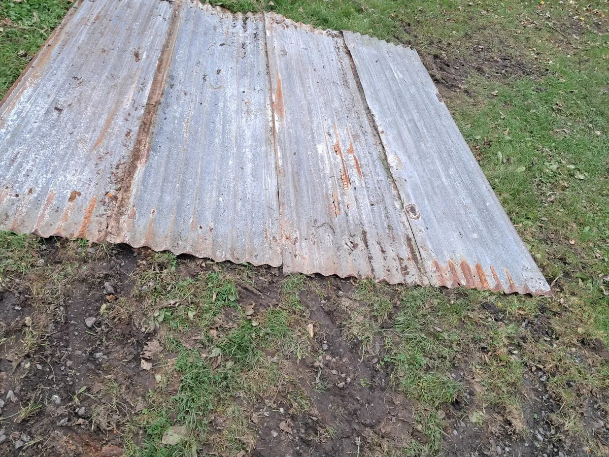 Galvanised sheets second hand - Image 2