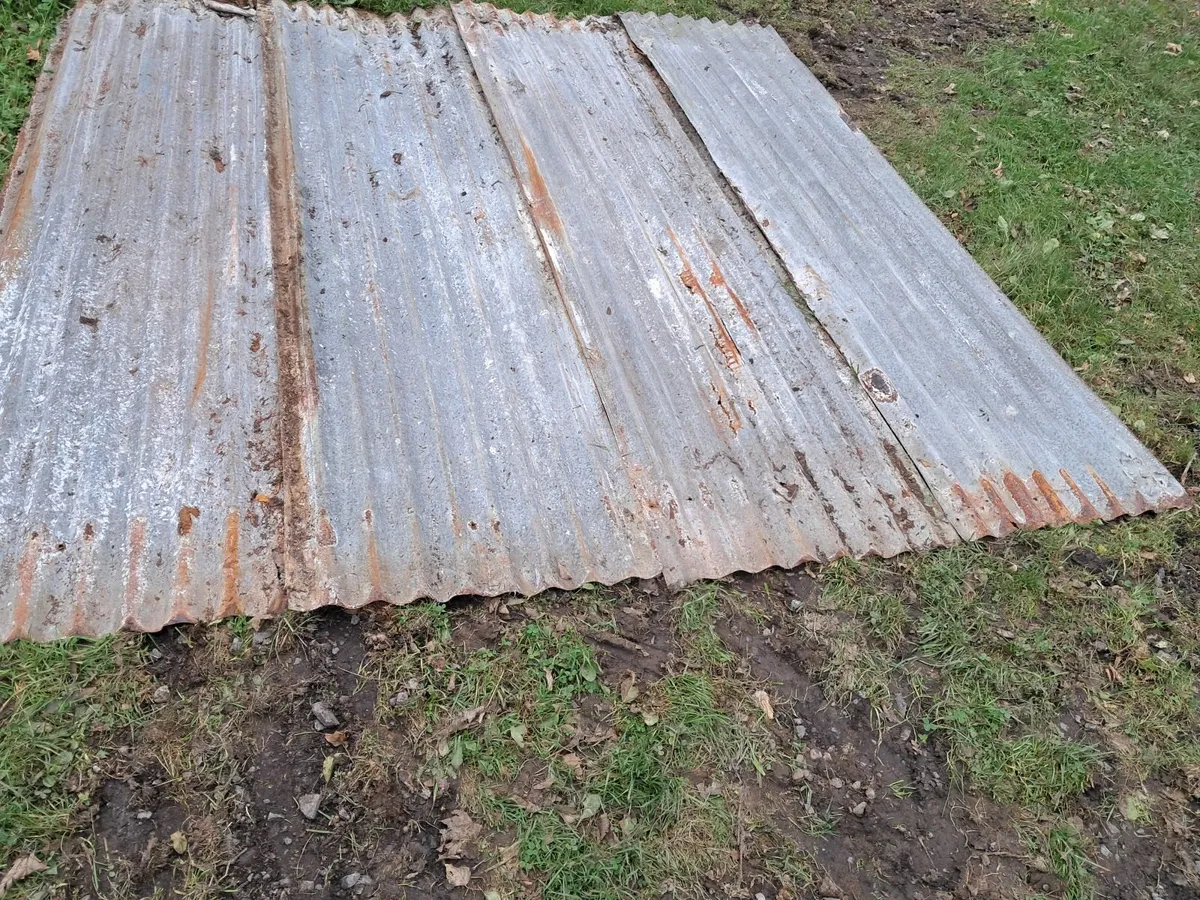 Galvanised sheets second hand - Image 3
