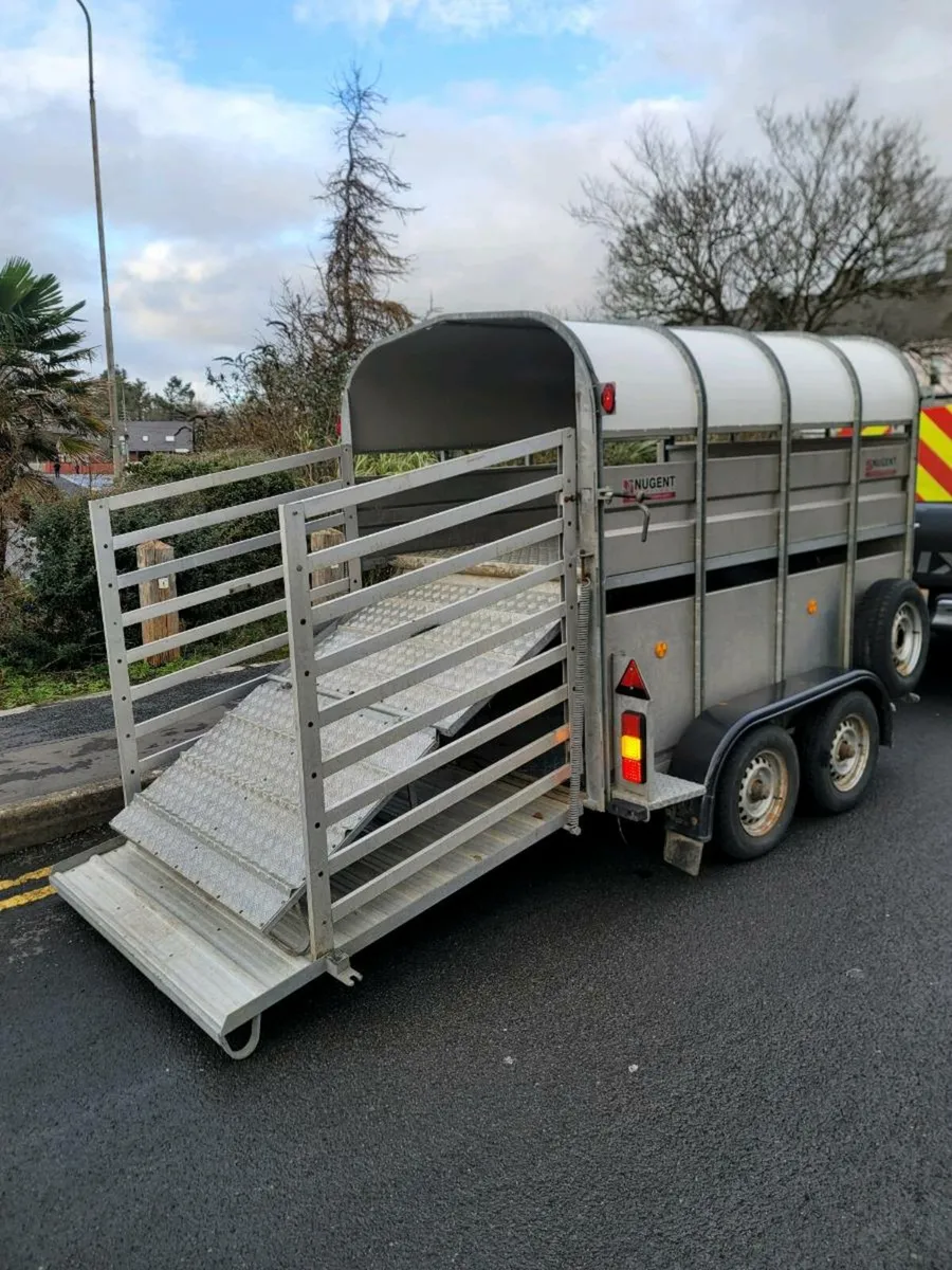 Nugent Trailer 8 by 5 - Image 1