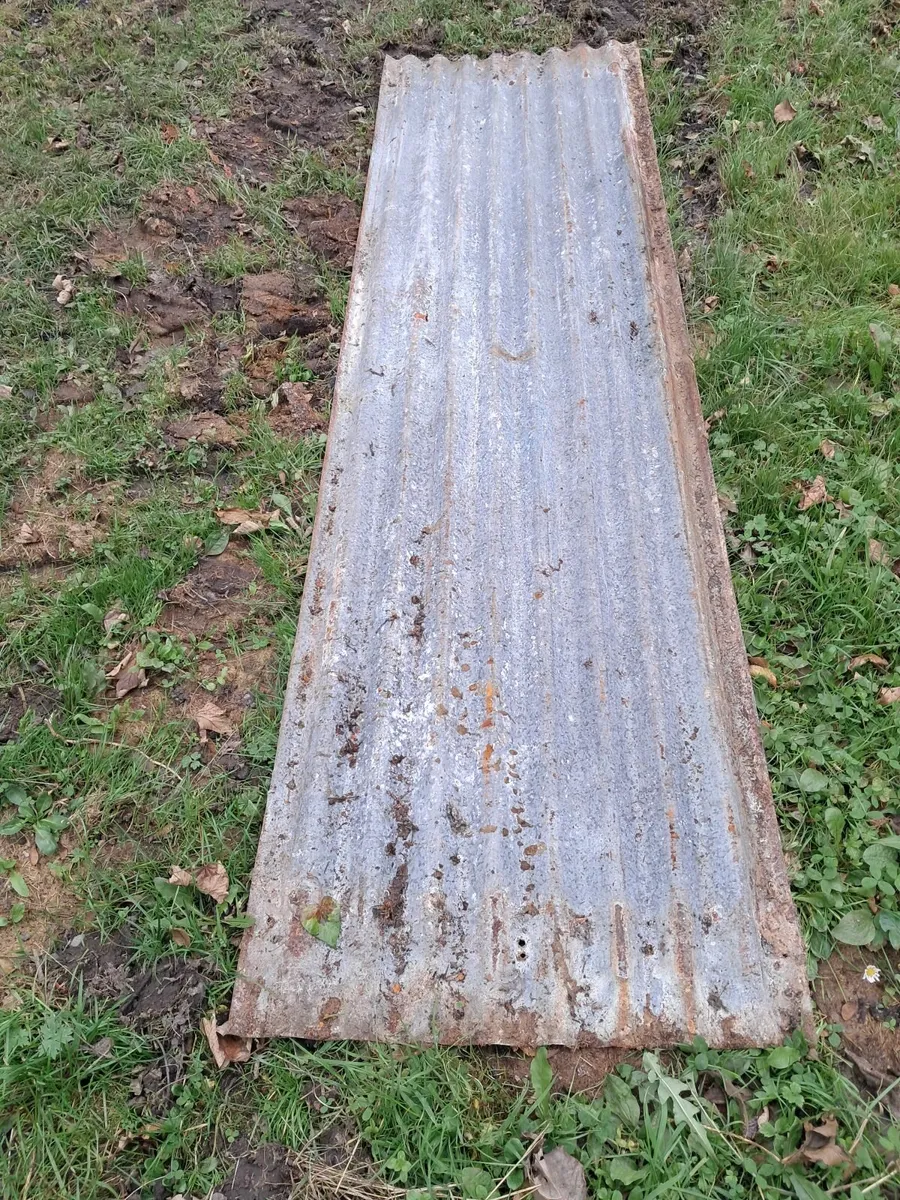 Galvanised sheets second hand - Image 4