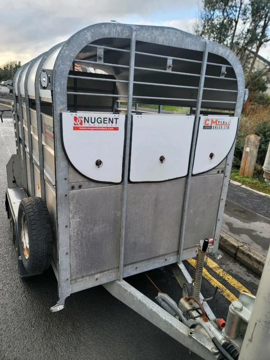 Nugent Trailer 8 by 5 - Image 3