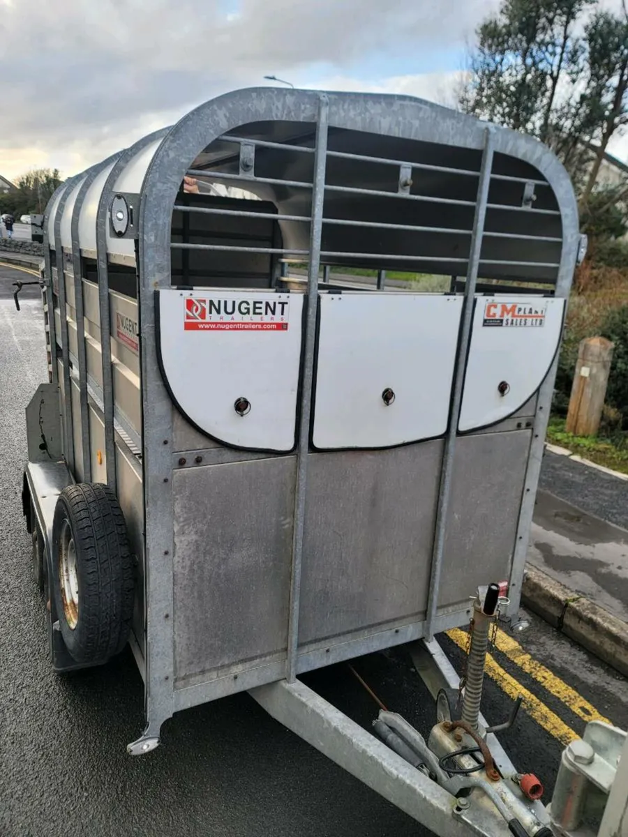 Nugent Trailer 8 by 5 - Image 4