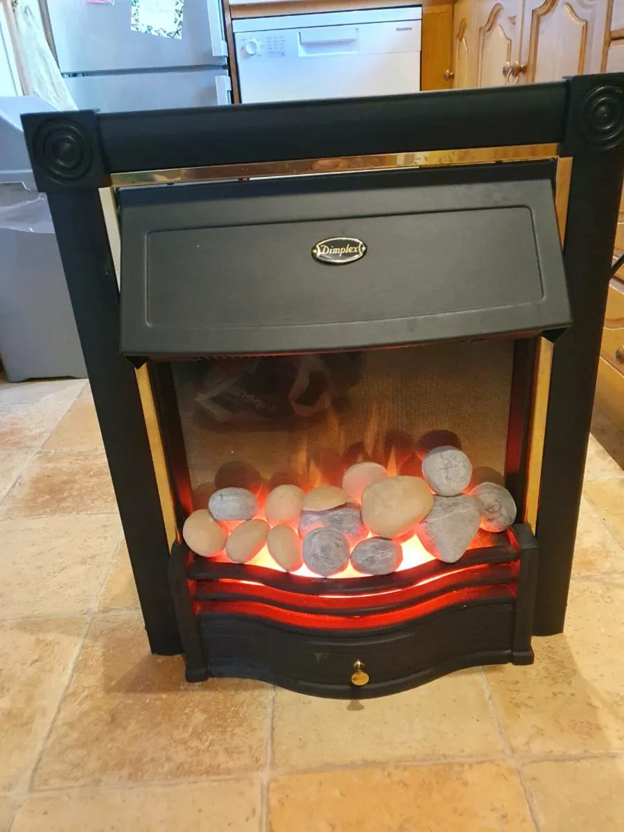 Dimplex insert electric heater - Image 1