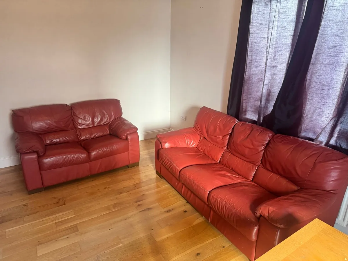 Free sofa - Image 1