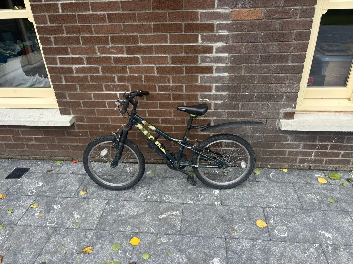 Boys bike