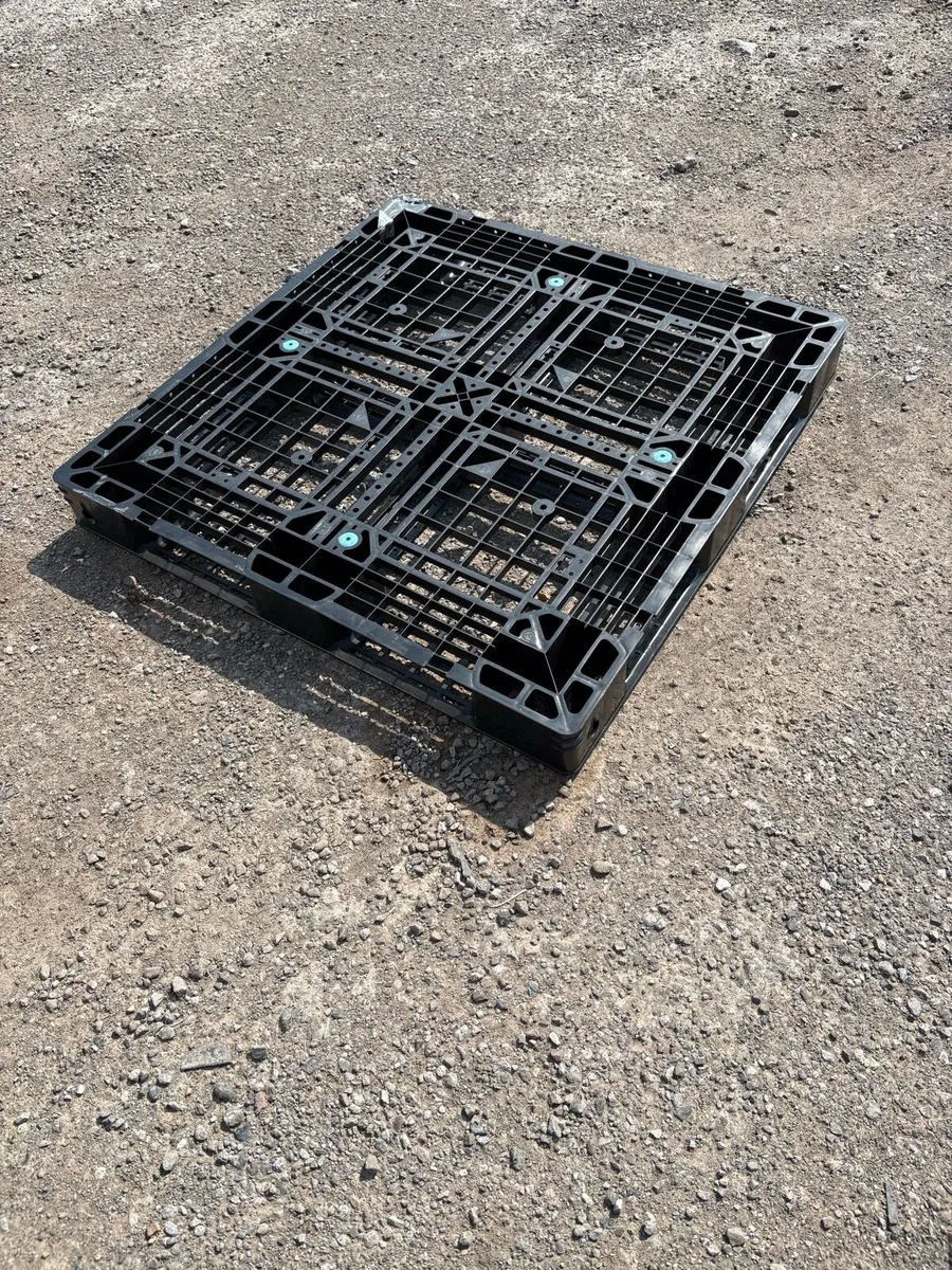 Plastic pallets - Image 2