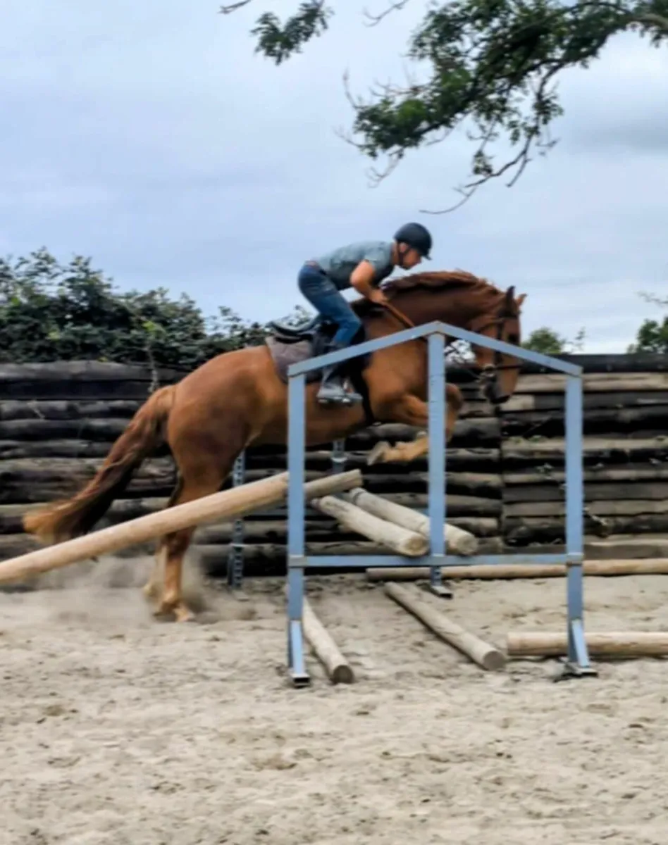 Re advertised due to unforeseen circumstances  RID - Image 3