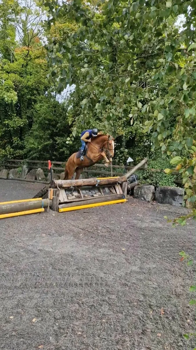 Re advertised due to unforeseen circumstances  RID - Image 4