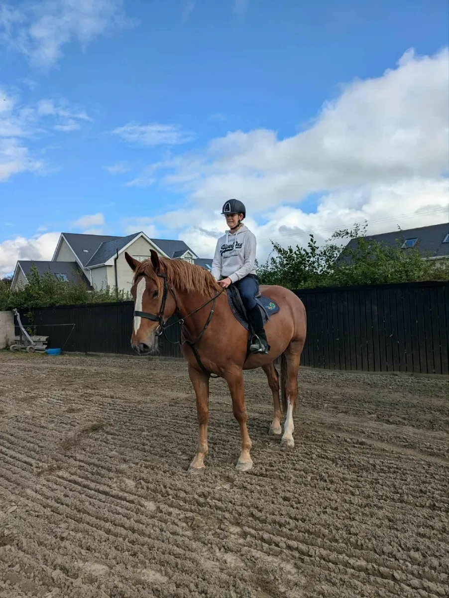 Re advertised due to unforeseen circumstances  RID - Image 1