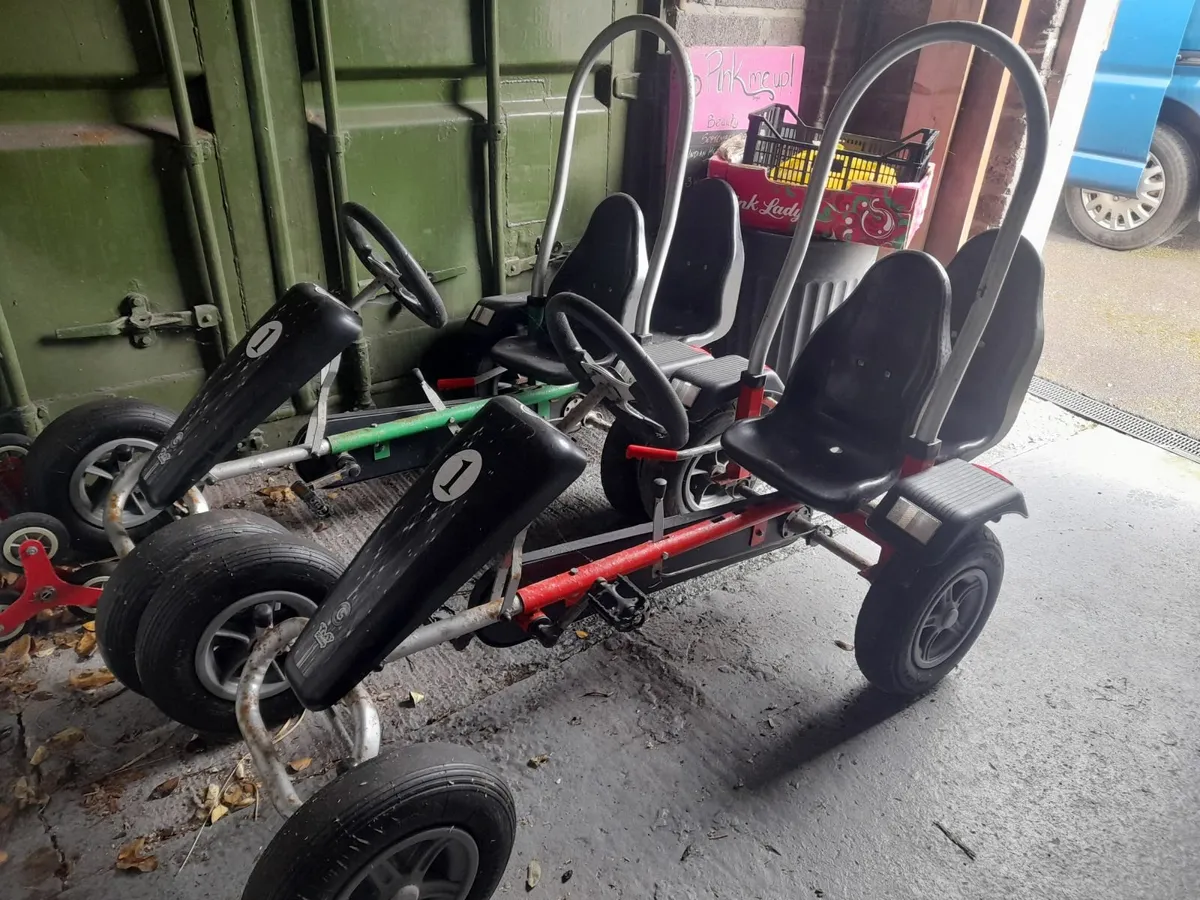 Grant go carts - Image 1