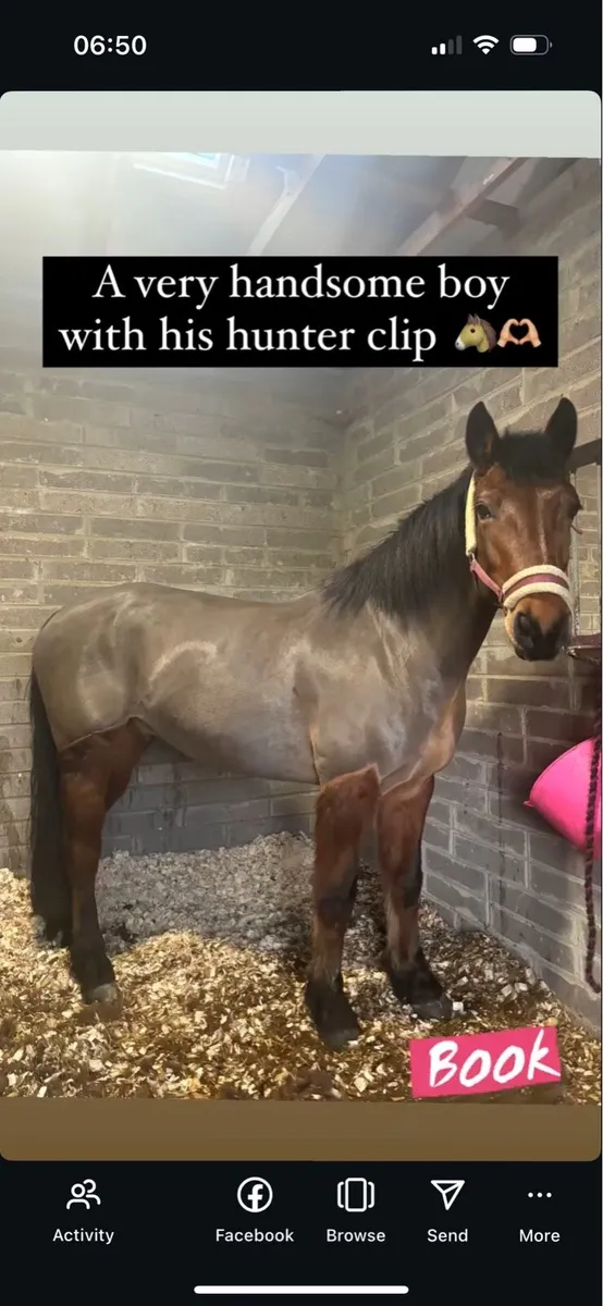 Clipping Services Available - Image 2