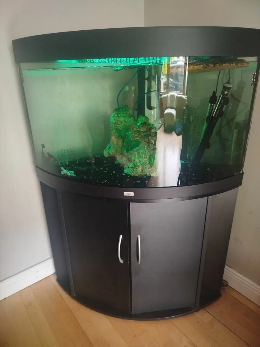 Jewel Aquarium trigon 190 - Image 2