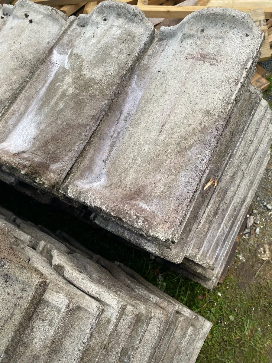 Roof Tiles - Image 3
