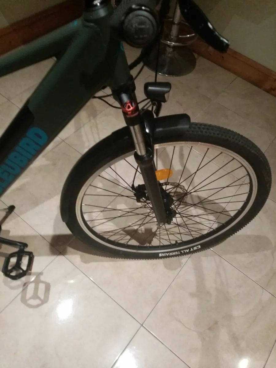 Electric bluebird bike - Image 1