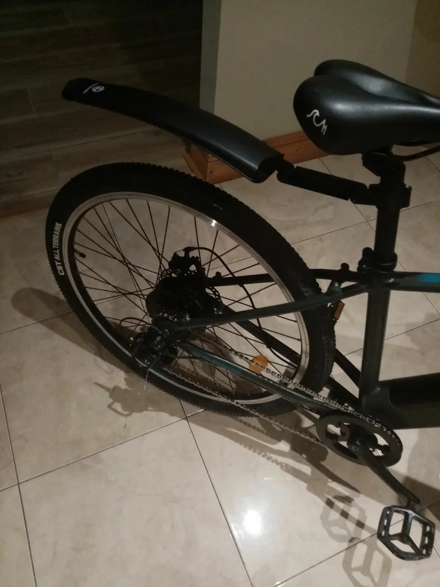 Electric bluebird bike - Image 2