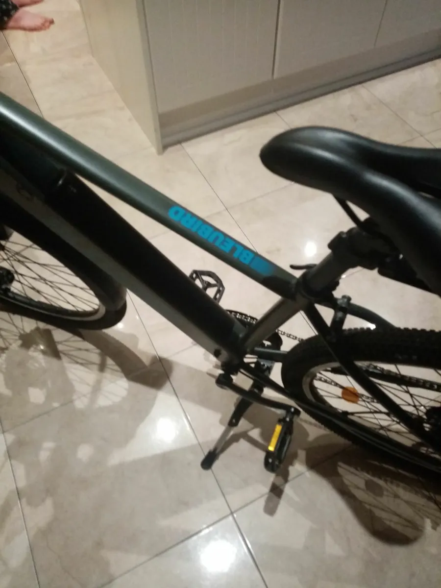 Electric bluebird bike - Image 3