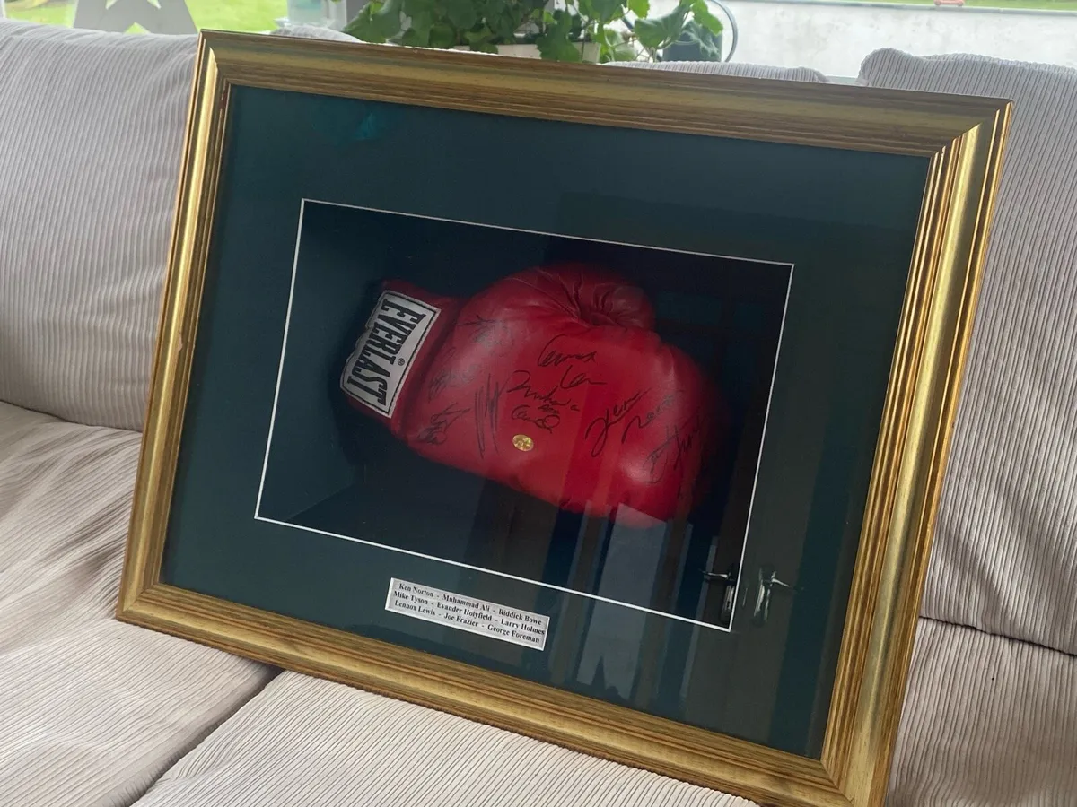 Framed Signed Boxing Glove - Image 1