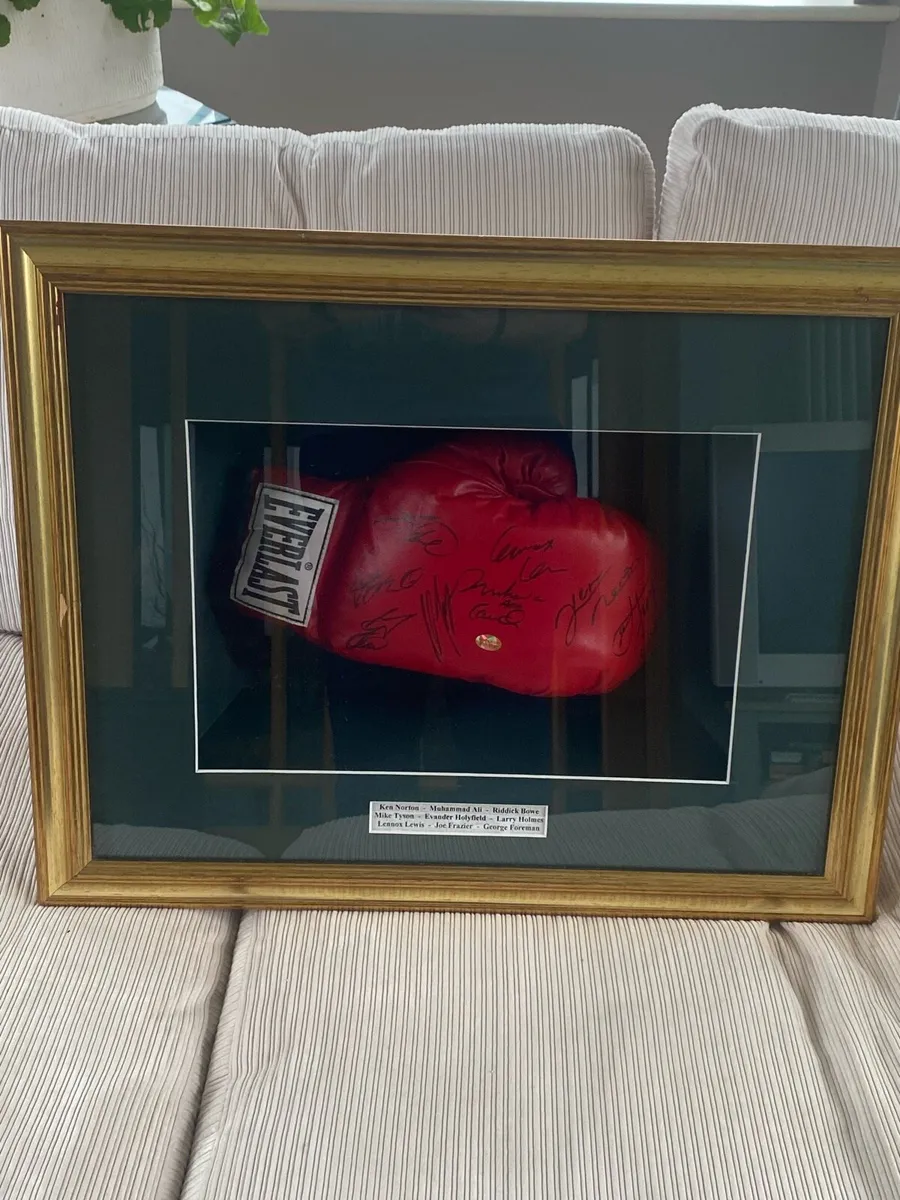 Framed Signed Boxing Glove - Image 2