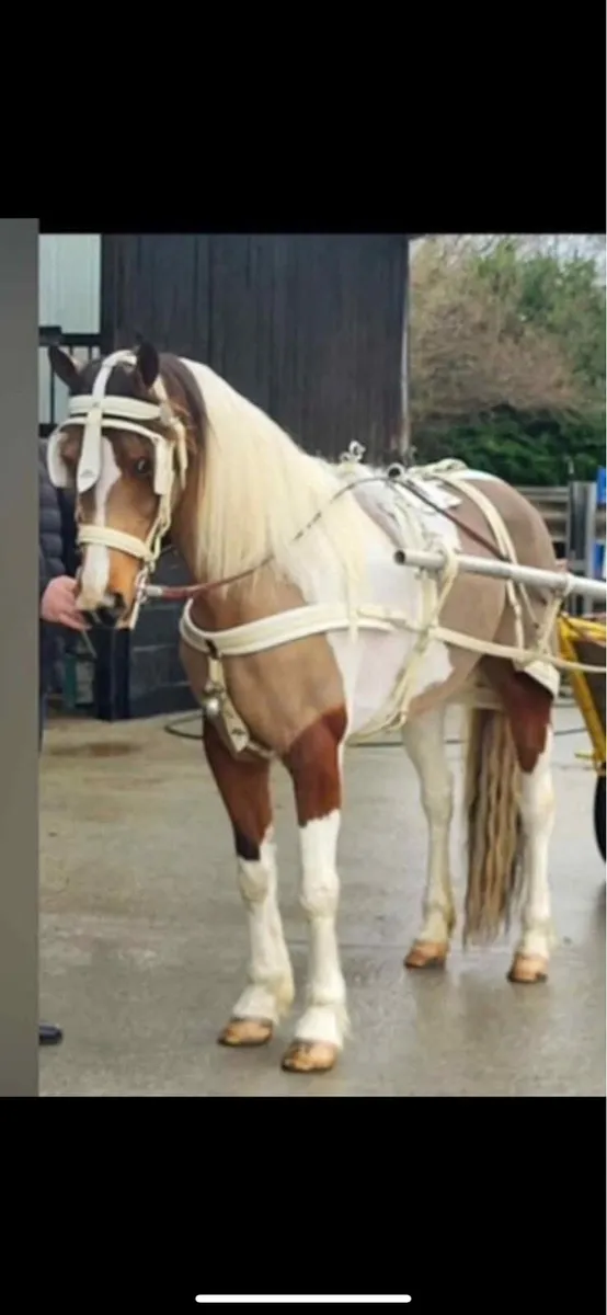 FOR SALE DRIVING COB