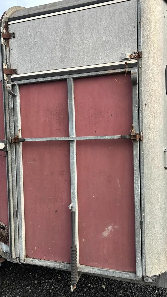 Ifor williams horse box - Image 3