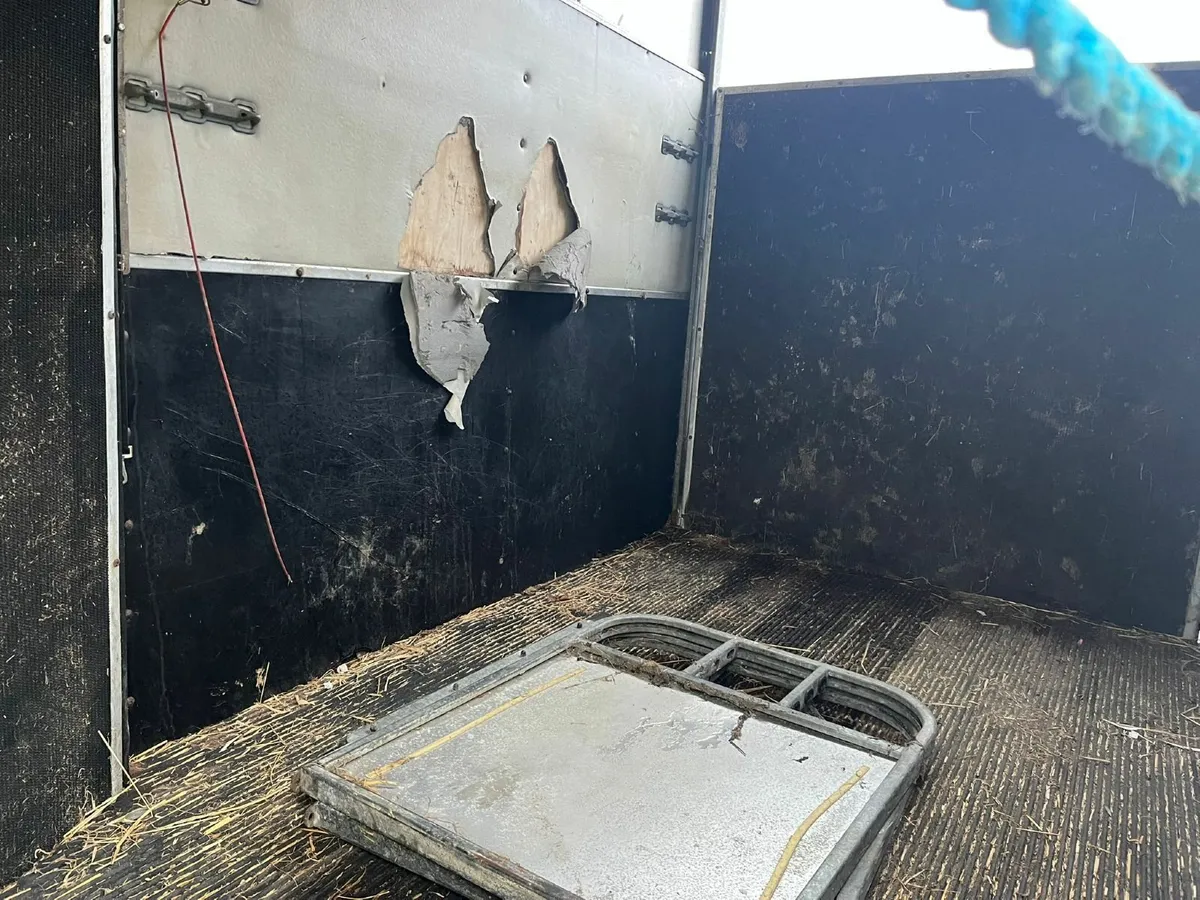 Ifor williams horse box - Image 4