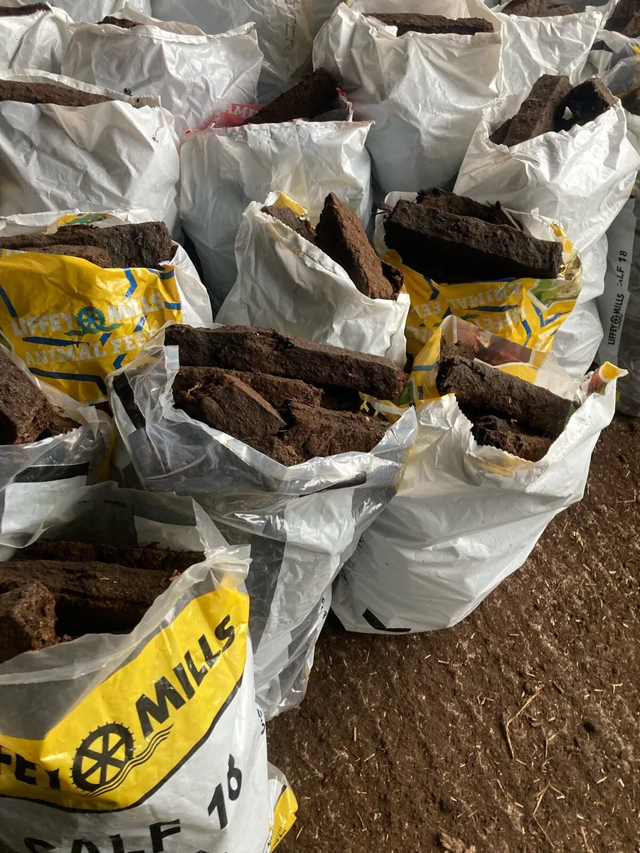 Fuel available - Image 3