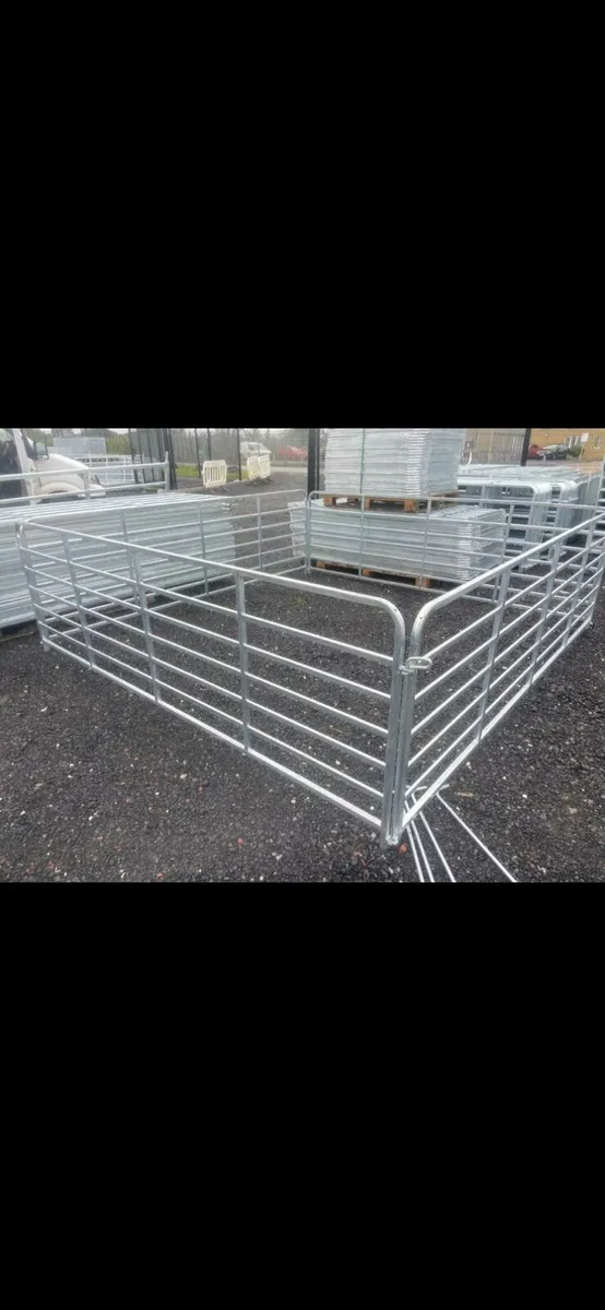 Extendable gates barriers and sheep pins - Image 3