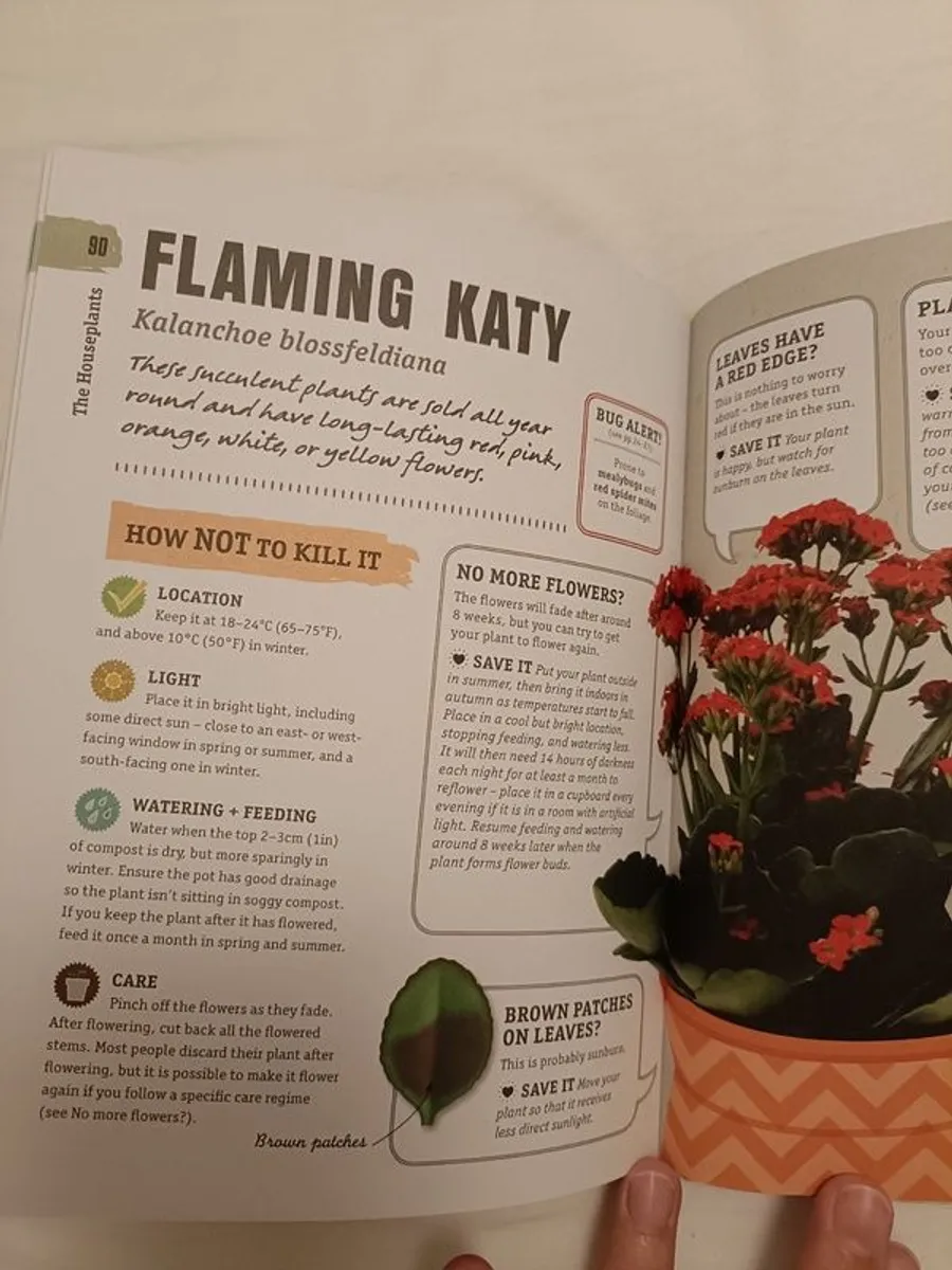 DK How not to kill your houseplant - Image 2