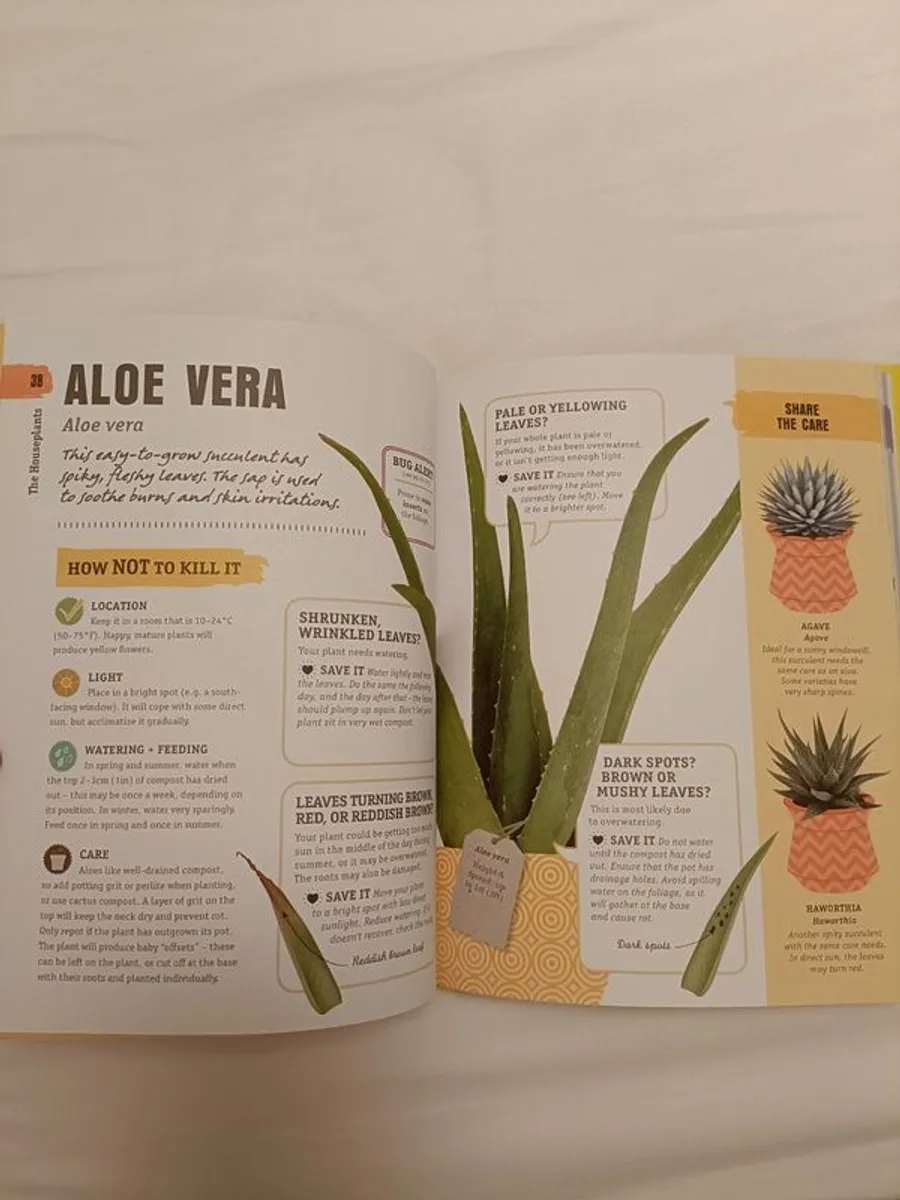 DK How not to kill your houseplant - Image 3