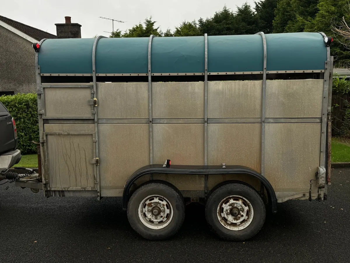 Crooks cattle trailer - Image 3